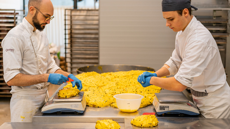 Olivieri chefs handling panettone dough