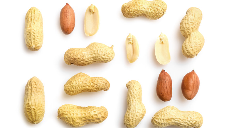 a variety of peanuts on a white background