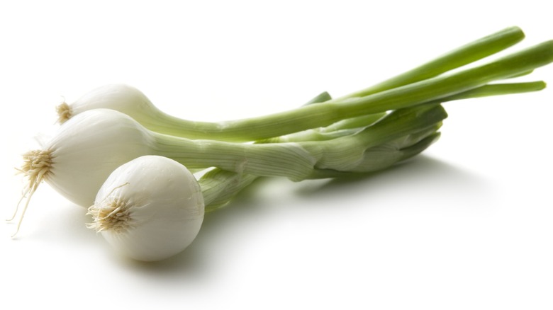 Three spring onions on a white background