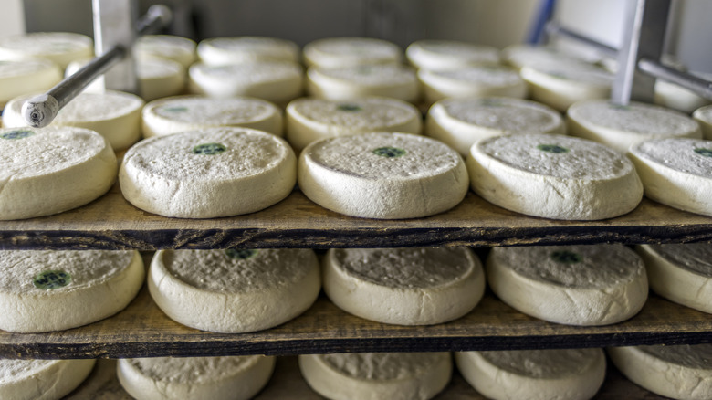 Raw milk cheese aging on racks