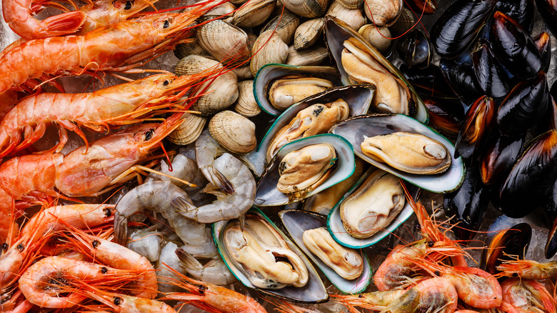 a variety of shellfish