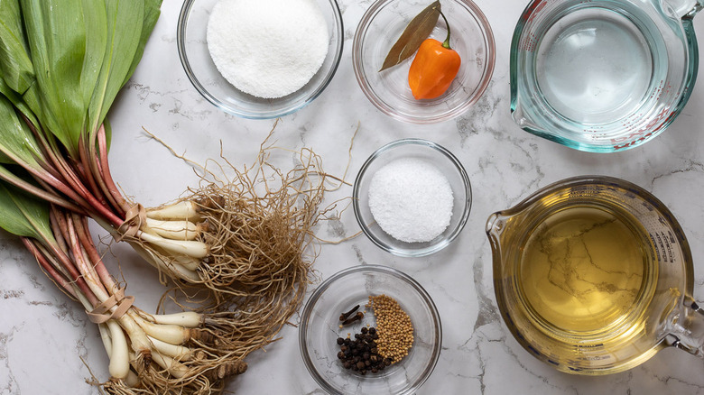 ingredients for spicy pickled ramps