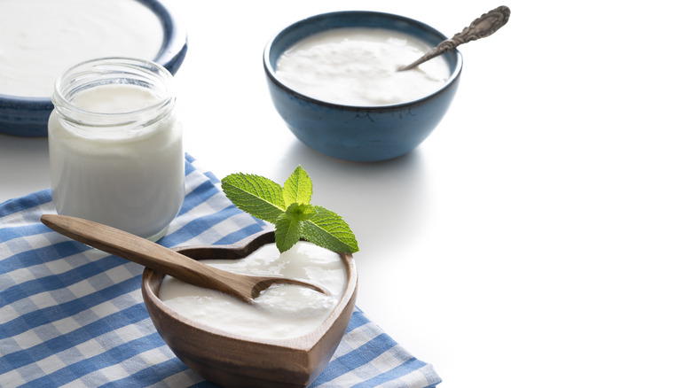 Homemade yogurt in several containers