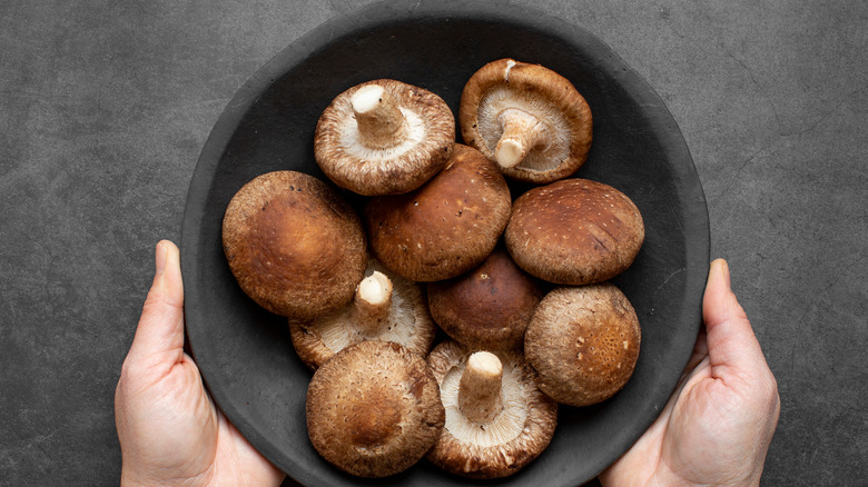 shitake mushrooms in bowl