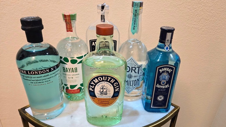 Various bottles of gin