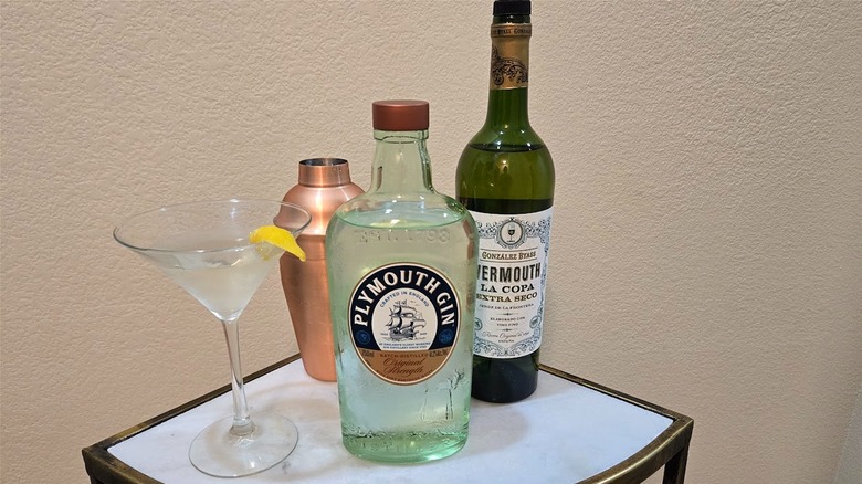 Plymouth Gin, vermouth, and martini