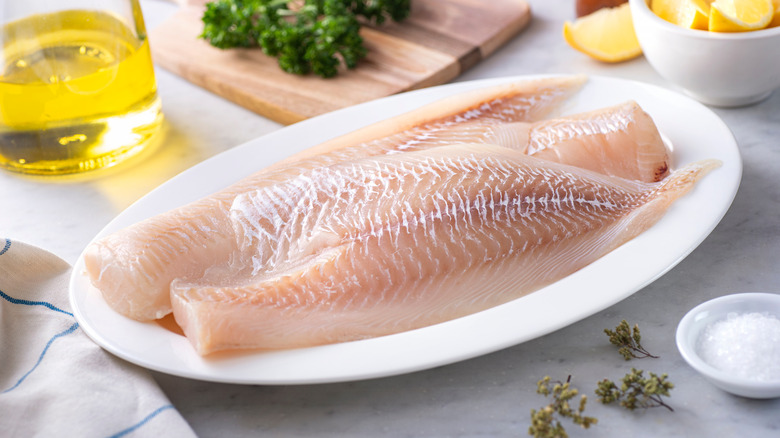 Pollock fish on a white plate