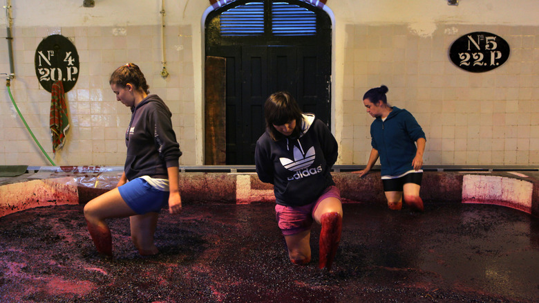 women stomping grapes in lagares