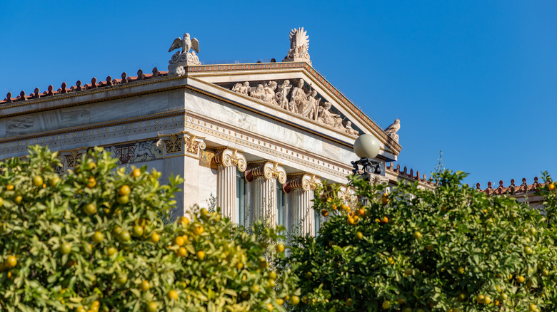 Orange trees in Greece