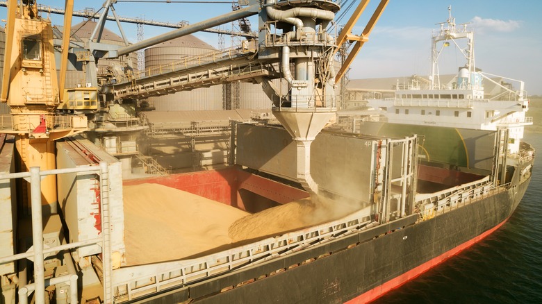 Ukrainian ship loaded with grain