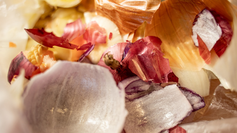 Onion and garlic peels