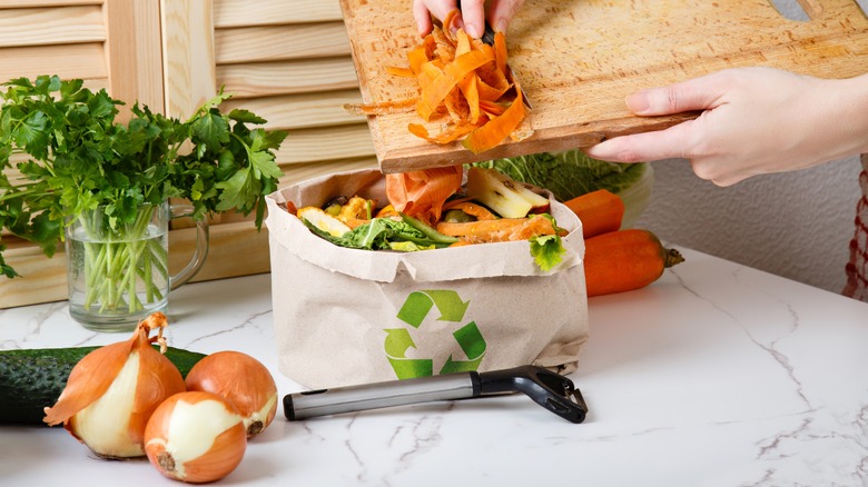 Kitchen scraps dumped into bag