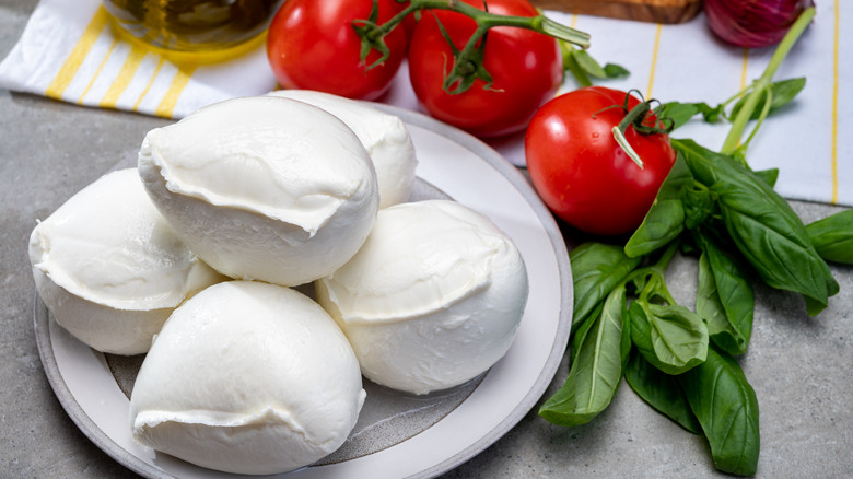 fresh mozzarella on a plate with tomatoes and basil