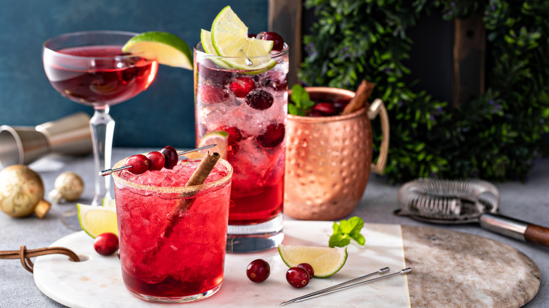 an assortment of cranberry vodka cocktails