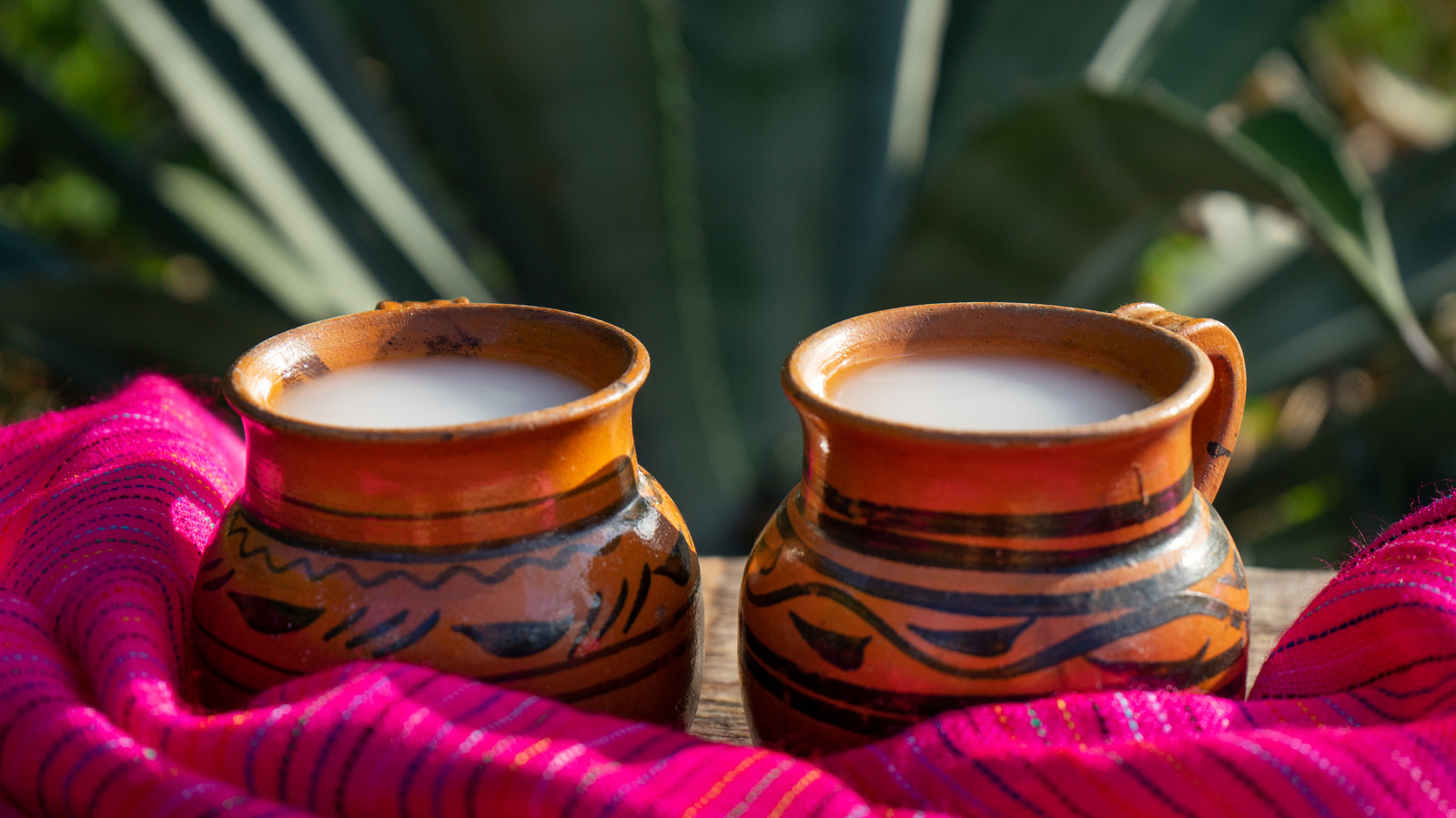 Pulque: The Ancient Mexican Agave Drink You Should Know About