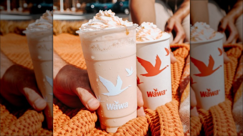 Wawa pumpkin drinks