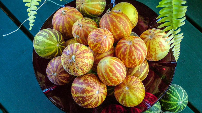 Bowl of pocket melons