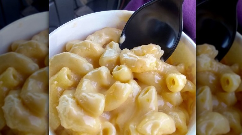 Macaroni and cheese in cup