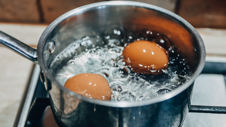 https://www.tastingtable.com/img/gallery/reach-for-the-salt-to-prevent-hard-boiled-eggs-from-leaking/intro-1696885421.jpg