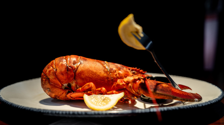 plated lobster at Red Lobster