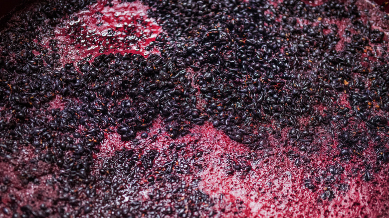 Fermenting red wine grapes