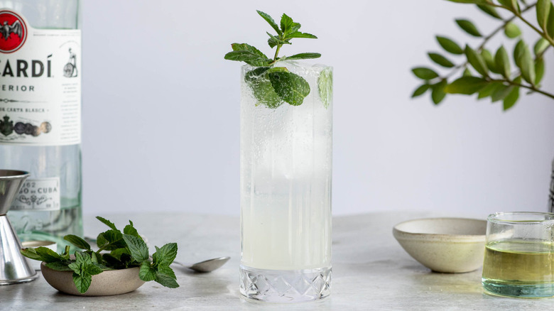 mojito in glass with mint leaves