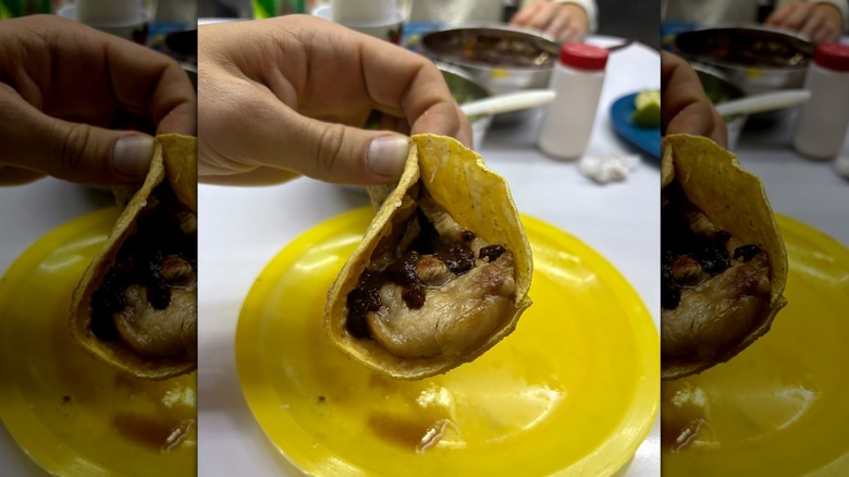 A meat taco folded with red salsa over yellow plate