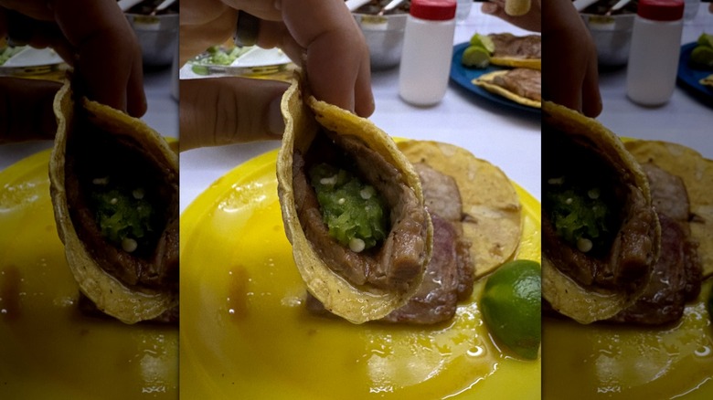 Hand holding a meat taco folded with green salsa