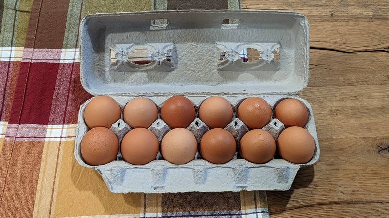 Walden Local eggs in carton