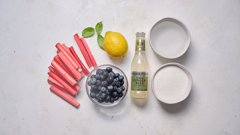 rhubarb blueberry basil mocktail ingredients