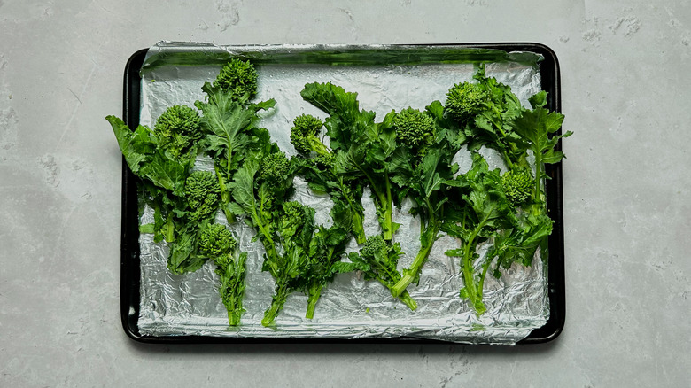 broccoli rabe on a sheet tray