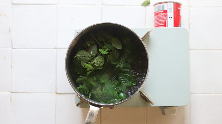 Herbs boiling in water