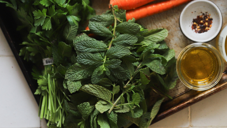 Bunch of fresh mint sprigs