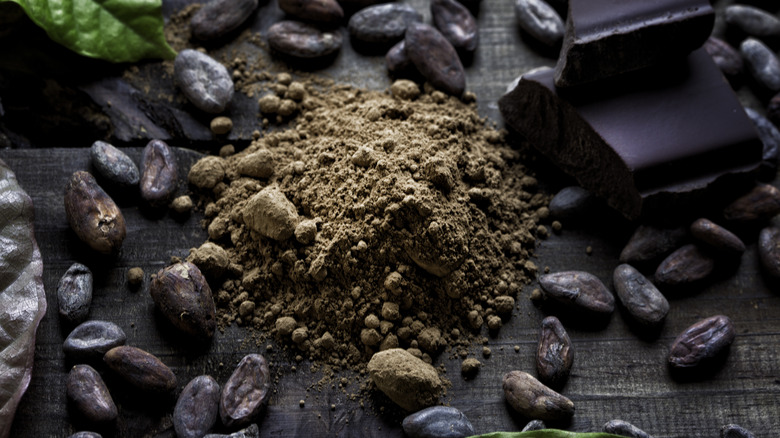 different stages of cacao