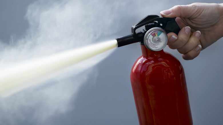 Fire extinguisher spray