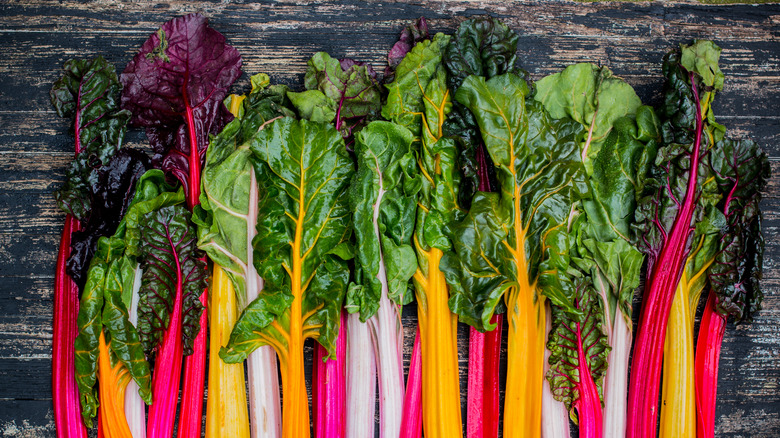 rainbow swiss chard