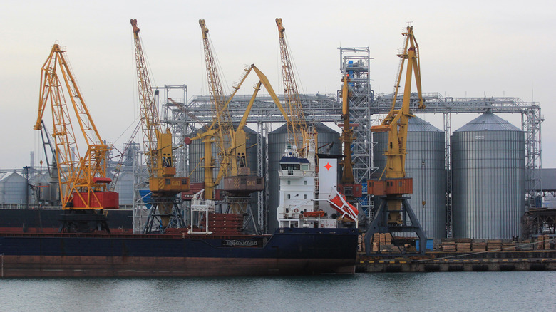 Grain silos at Ukrainian port