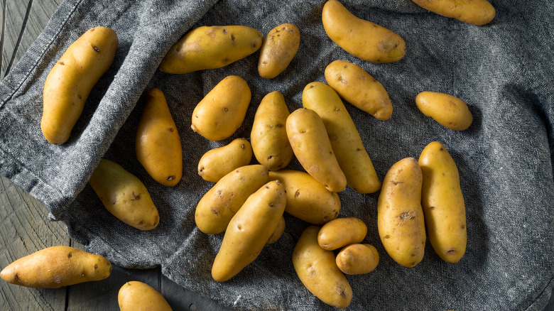 golden fingerling potatoes 