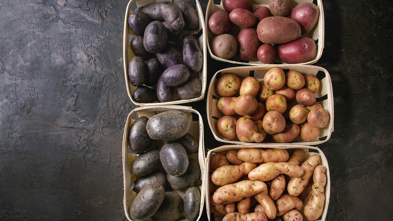 baskets of specialty potatoes