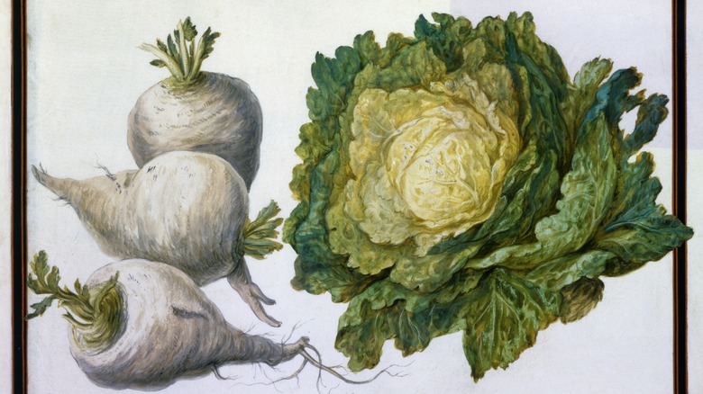 white turnips and green cabbage