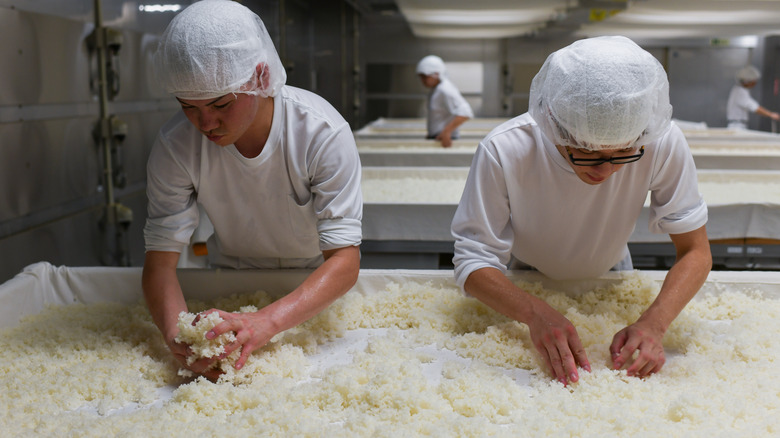 Sake brewers working to ferment the rice 