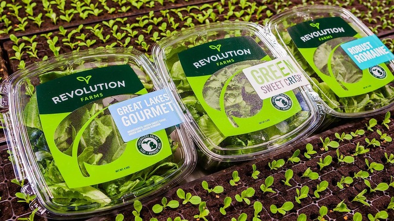 Revolution Farms salad kits 