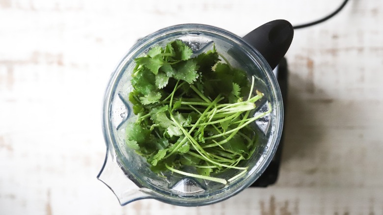 Cilantro in blender