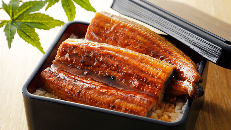 grilled eel with sansho