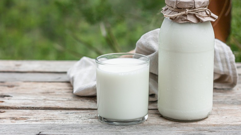 fresh milk in glass and bottle