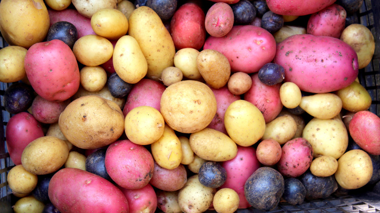 Multi-colored potatoes