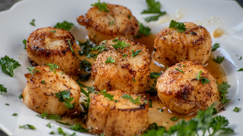 seared sea scallops with herbs