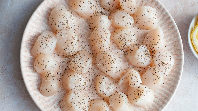 raw scallops with salt and pepper