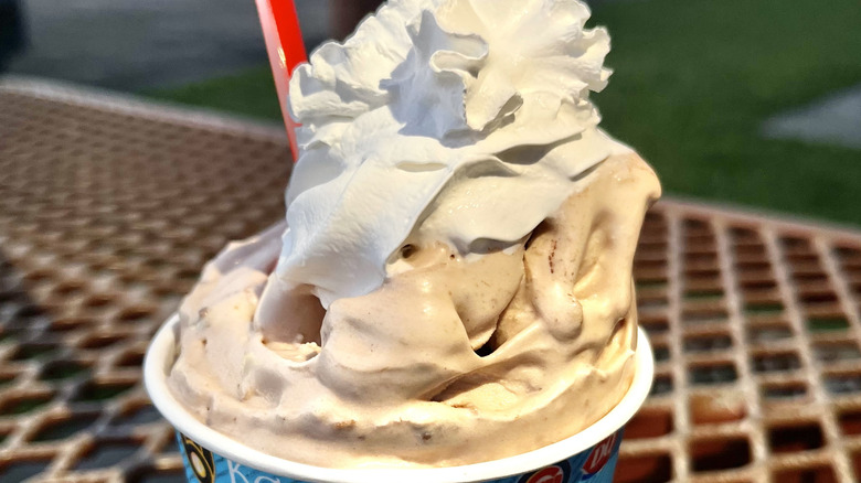 15 Secret Menu Dairy Queen Blizzards To Satisfy Your Ice Cream Craving