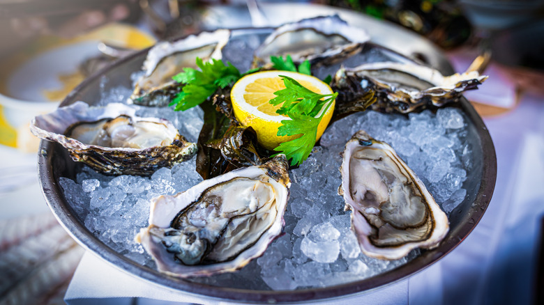 Fresh oysters on the half shell sitting on ice with half a fresh lemon and parsley